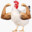Yourdailykfc