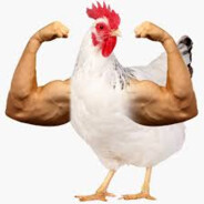 Yourdailykfc