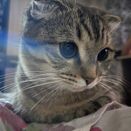 suffer.wm - steam id 76561198958470428