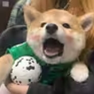 JOYzzz