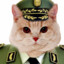 General Cat Salah