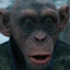 Bad Ape