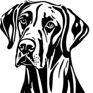 ¦∞¦ Got Your 6's avatar