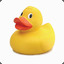 Duck Raden