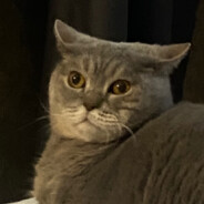 Vasiliy avatar