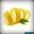 ZesT
