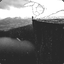 pinecove