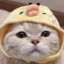 星辰