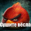 сушите весла