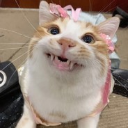 一顿炫五个土豆