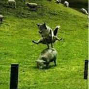 会所只点保洁阿姨