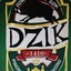 Dzik