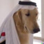 DOG-ALLAH