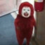 LORG