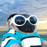 翻斗花园突击手牛爷爷