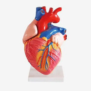 Взаимная Похвала