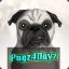 Pugz4Dayz