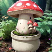 ToadStool4202004