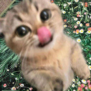⋆