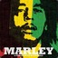 ✪ Marley