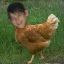 Chicken Man