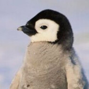 penguin