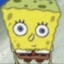 Truth-IQ-Sponge
