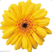 夢貓卡稱有朵花