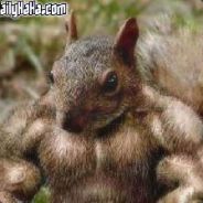 drugie konto "RAMBAMBER"