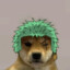 dogZoro