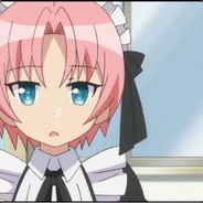 关于我在红魔馆献血这件事