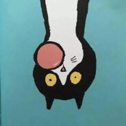 狮子山小马哥