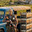 TheMilkMan
