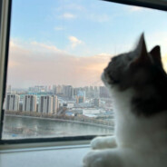 我什么也做不好