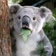 好啊他过江我也过江