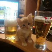 кот с пивом