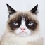 Grumpycat