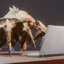 50 Bugs in Helldiver Suit