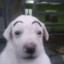 Jose3BV
