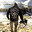 nzsoldier