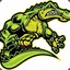 Alli Gator