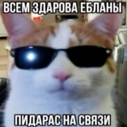 Рыжий АП