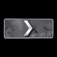 Avatar snapshot