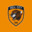 Hull City Fan