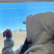 西伯利亚社恐牛爷