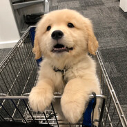 Q弹软萌荷包蛋是我，你不满意？