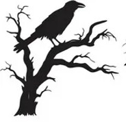 raven