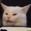 MrMeow24