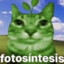 fotosíntesis