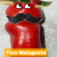 Ticao Malagueto